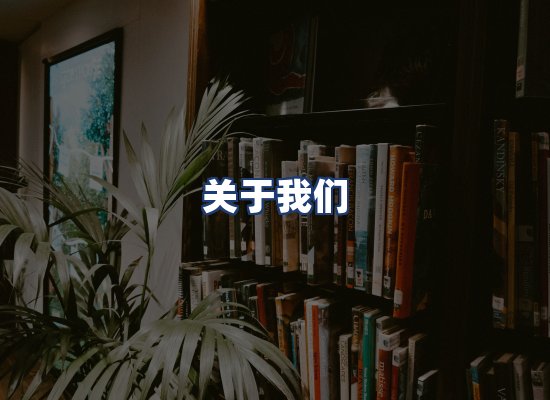 关于我们